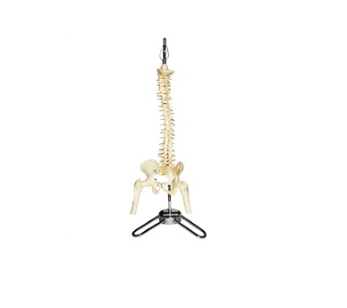 coluna rigida tgd 0141