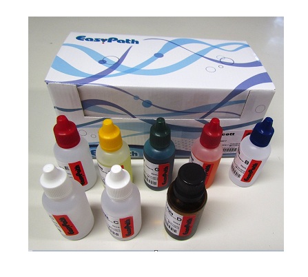 GROCOTT - HISTOKIT PARA 60 COLORAÇÕES