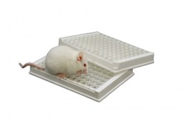 MOUSE ADENOVIRUS KIT ELISA - 96 TESTES