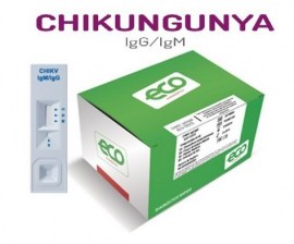 Chikungunya IGG/IGM - 20 Testes - Eco Diagnóstica