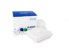 Kit De Extração Mini Spin Vírus DNA/RNA - 50 Extrações