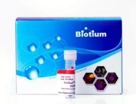 Gelred 10.000x In Water - 10 Ml - Biotium Inc