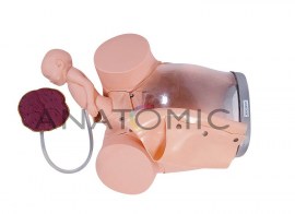 Simulador De Parto Com Cervix, Episiotomia E Feto Com Placenta - TGD-0374-E