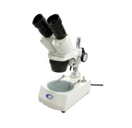 microscopio esteroscopio