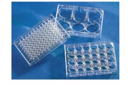 Corning ® Costar ® Tc-Treated Multiple Well Plates Flat Bottom Individually Wrapped - 96 Wells - 50 Unid - Corning