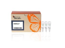 Nebnext Ultraexpress DNA Library Prep Kit - 24 Reações - E3325S - New England Biolabs