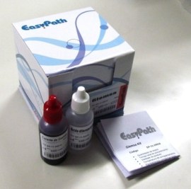 Giemsa Modificado - Histokit para 60 Colorações - Easypath