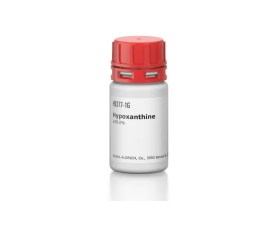 Hypoxanthine 99% - 100 Gr - Sigma