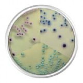 Agar Cromogênico Candida - 500 Gr - Kasvi