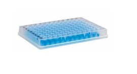 Microplaca De Pcr Com Borda 96 Poços - 25 Und - K4-9620 - Kasvi