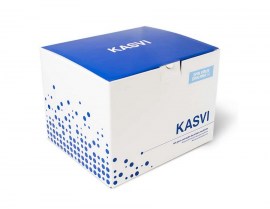 Kit De Extração De Dna Mini Spin - 250 Testes - K9-0250 - Kasvi