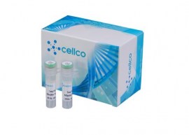 TAQ DNA Polimerase + Buffer + Mgcl2 - Enzima Para PCR - POL-101XS