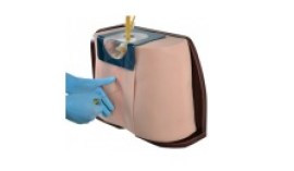 Simulador Adulto De Punçao Lombar - Spl552