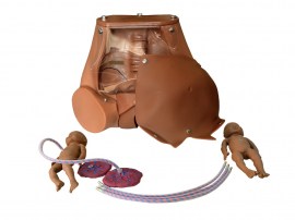 Simulador De Parto Gemelar Com Placenta - TGD-0374-G