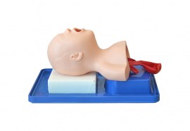 Simulador Bebê, Para Treino De Intubação Traqueal - TGD-4007-B