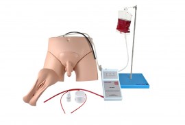 Simulador De Cateterismo Vesical E Lavagem Intestinal, Bissexual, Com Dispositivo De Controle - TGD-4008-S