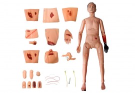 Manequim Bissexual Com Órgãos Internos, Simulador Para Cuidados De Enfermagem E Trauma - TGD-4011