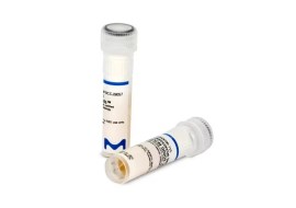 Tatlockia Micdadei Nctc 11371 Lenticule® Atcc® 33218 (Package Of 10 Discs) - Sigma