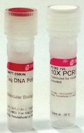 TAQ DNA Polimerase - 250UN - Sigma