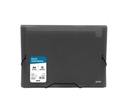 Pasta Sanfonada 12 Divisões A4 Em Plástico